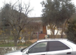 Imagen1