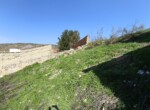 IMG_20260225_120628